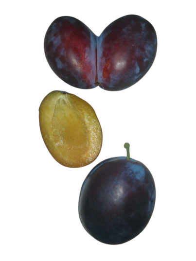 Zwetschken