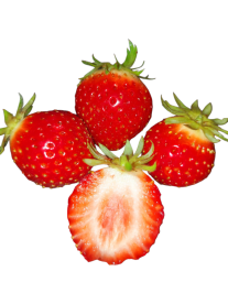 Erdbeeren